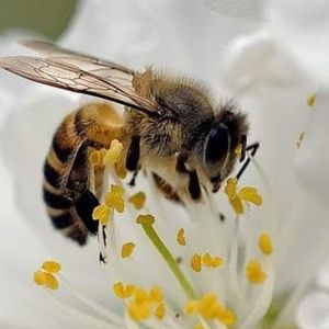 Meet your Posher, Sonia